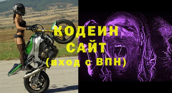 прущие грибы Бронницы