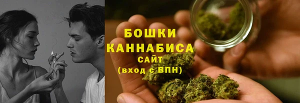 прущие грибы Бронницы