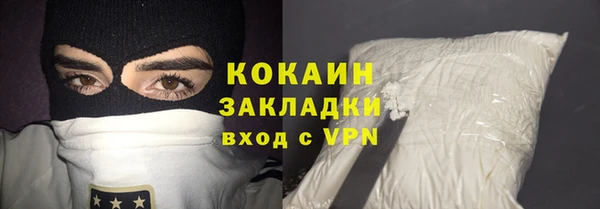 прущие грибы Бронницы
