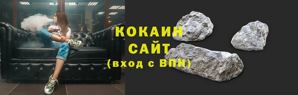 прущие грибы Бронницы