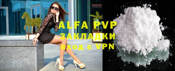 a pvp Бородино